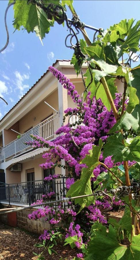 Apartment Half Of House To Rent - Family Zelenika *
